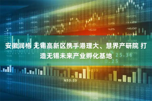 安徽润格 无锡高新区携手港理大、慧界产研院 打造无锡未来产业孵化基地