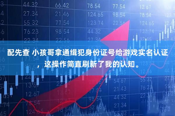 配先查 小孩哥拿通缉犯身份证号给游戏实名认证，这操作简直刷新了我的认知。
