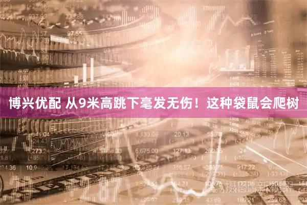 博兴优配 从9米高跳下毫发无伤！这种袋鼠会爬树