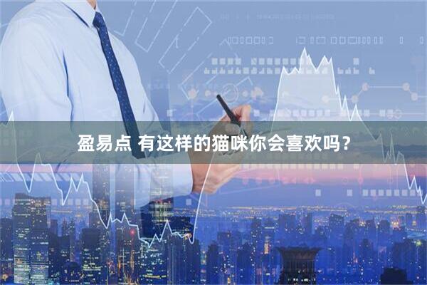 盈易点 有这样的猫咪你会喜欢吗？