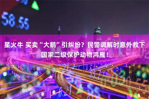 星火牛 买卖“大鹅”引纠纷？民警调解时意外救下国家二级保护动物鸿雁！