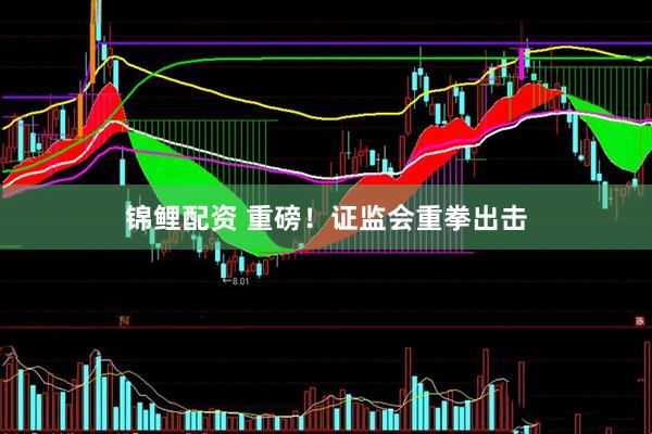 锦鲤配资 重磅！证监会重拳出击
