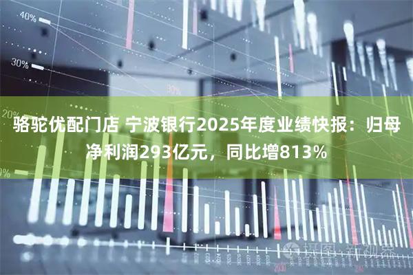 骆驼优配门店 宁波银行2025年度业绩快报：归母净利润293亿元，同比增813%