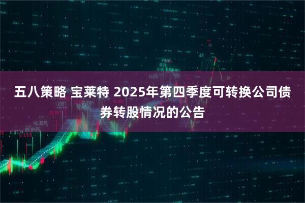 五八策略 宝莱特 2025年第四季度可转换公司债券转股情况的公告