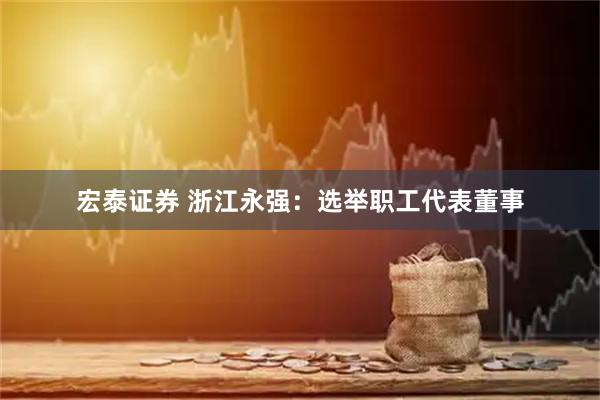 宏泰证券 浙江永强：选举职工代表董事