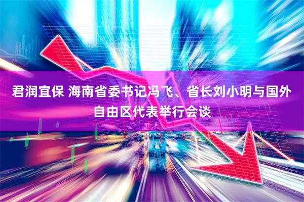 君润宜保 海南省委书记冯飞、省长刘小明与国外自由区代表举行会谈