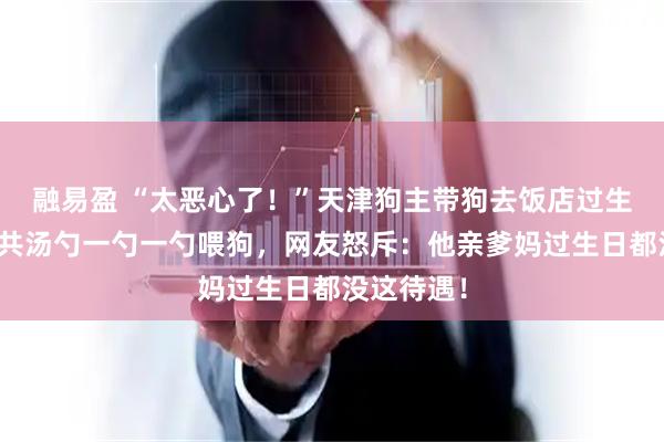 融易盈 “太恶心了！”天津狗主带狗去饭店过生日，用公共汤勺一勺一勺喂狗，网友怒斥：他亲爹妈过生日都没这待遇！