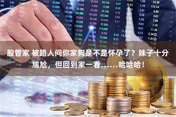 股管家 被路人问你家狗是不是怀孕了？妹子十分尴尬，但回到家一看……哈哈哈！